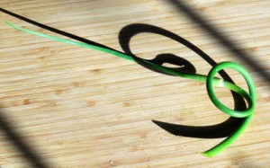 garlic scape with shadow