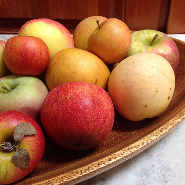 Heritage Apples Get the Good Stuff!