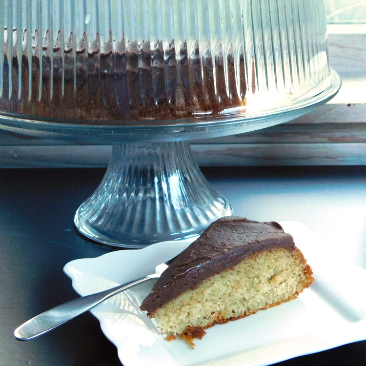 Yogurt Cake with Fudge Icing