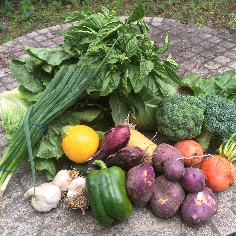 CSA week 7 0714 2018
