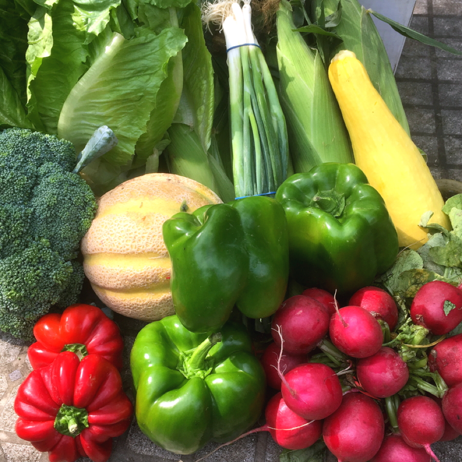 CSA week 12 0818 2018